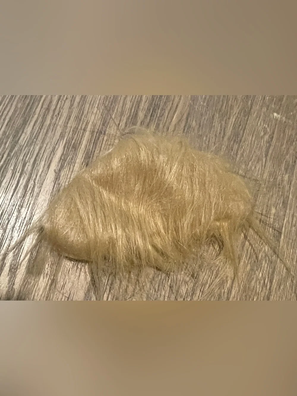 Trump Pet Costume, Wig and Tie, Size Small/Medium
